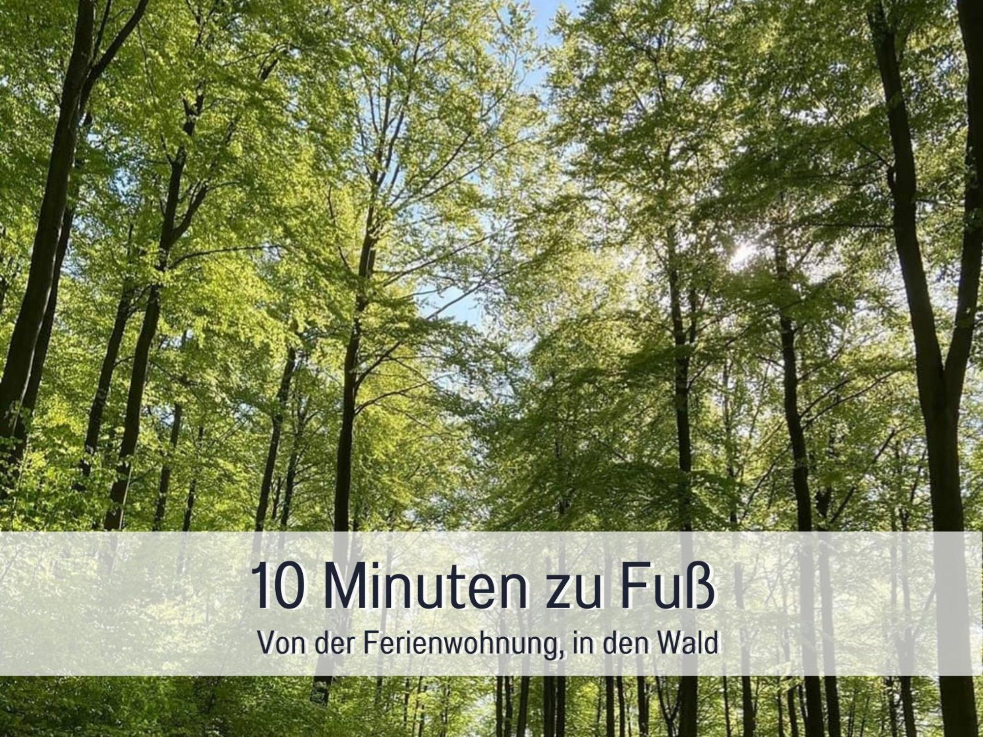 Am Feldrain - Urlaub Mit Hund Im Weserbergland Munden  Exterior photo